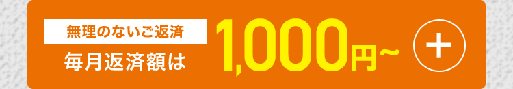 無理のないご返済
毎月返済額は
1,000円~ +