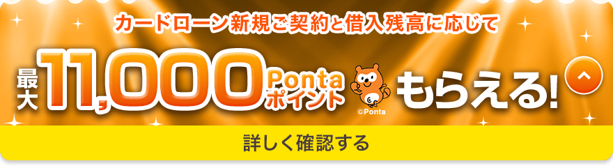 最大11000Pontaポイントもらえる！
プログラム内容を詳しく確認する